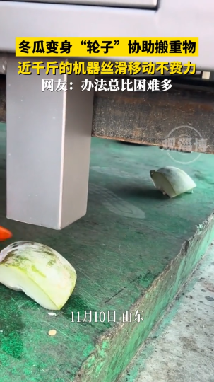 冬瓜变身&ldquo;轮子&rdquo;协助搬重物，近千斤的机器丝滑移动不费力