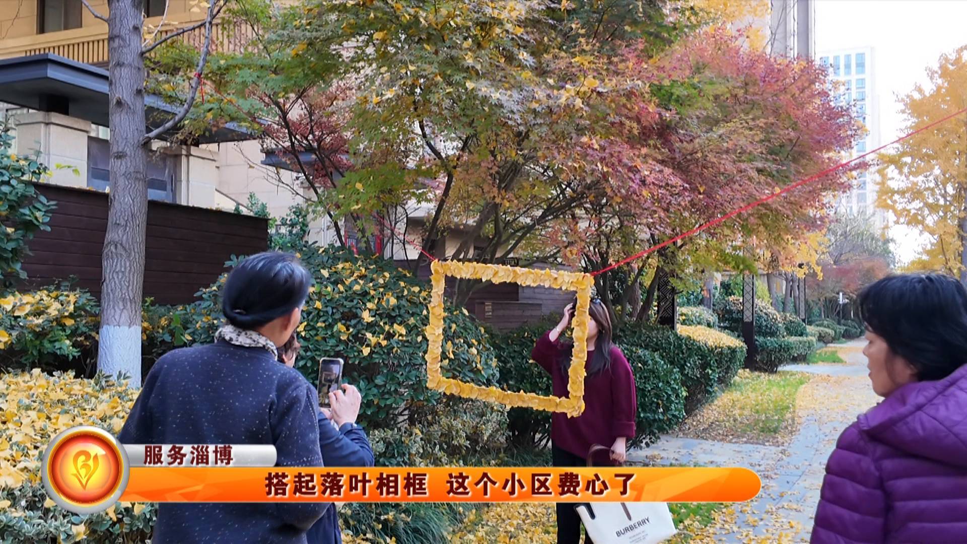 【服务淄博】搭起落叶相框 这个小区费心了