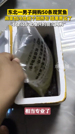 东北一男子网购50条观赏鱼，商家怕冷给放个加热包，结果煮化了