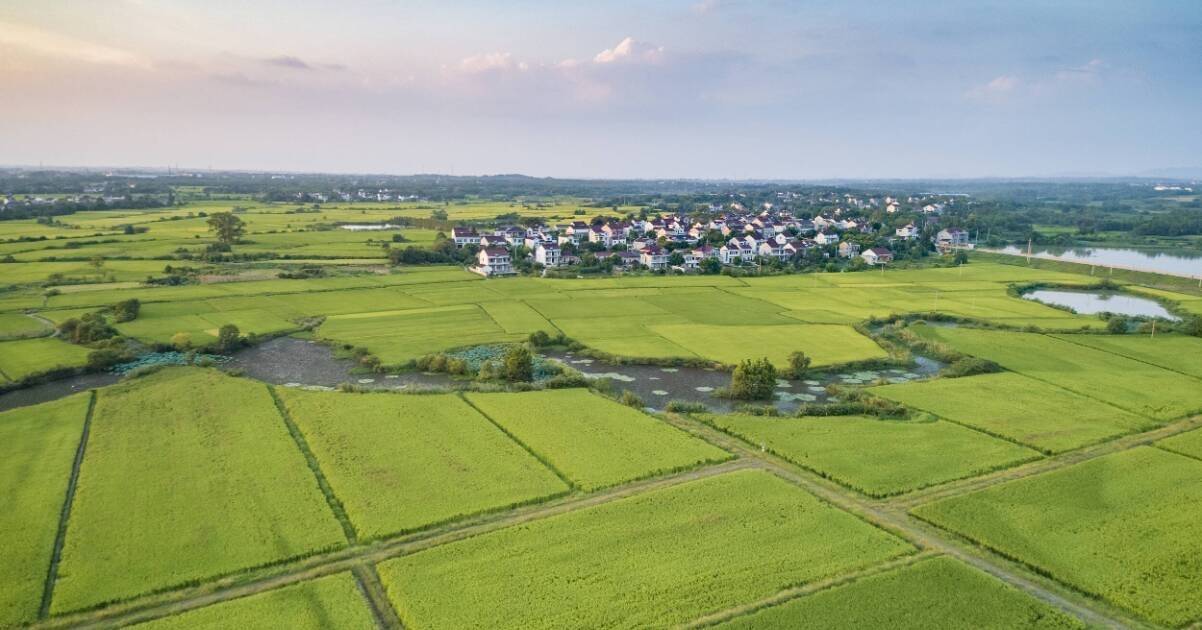 闪电评论丨片区协同绘新卷 乡村振兴谱新篇