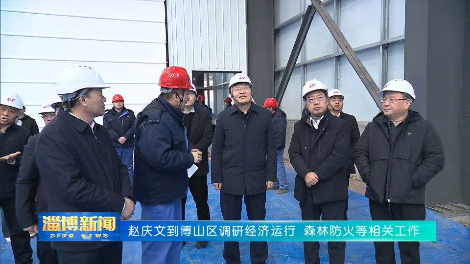 【淄博新闻】赵庆文到博山区调研经济运行、森林防火等相关工作