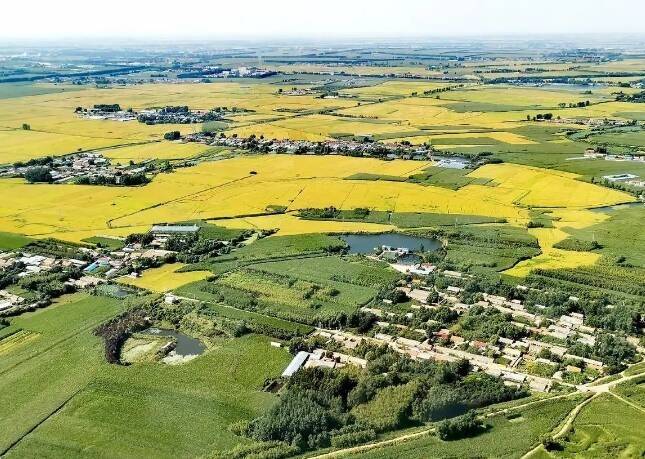 闪电评论丨以片区&ldquo;破题&rdquo; 山东绘就乡村振兴壮阔图景