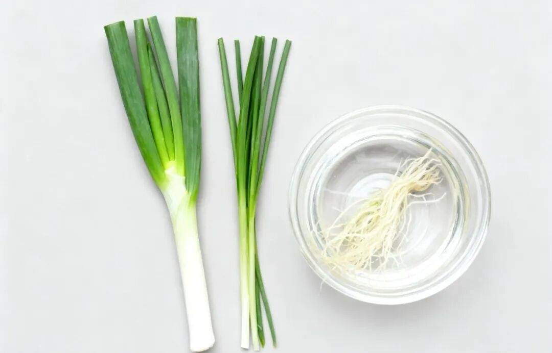 家家都有的它，竟是养生&ldquo;高手&rdquo;！