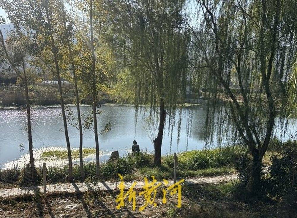 仲虺故地焕新颜,邹城钓鱼台村:&ldquo;美丽+产业&rdquo;双buff激活乡村振兴密码