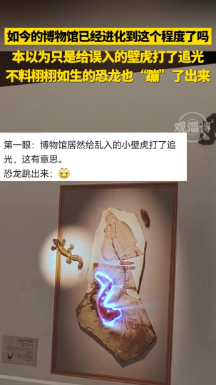 本以为只是给误入的壁虎打了追光，不料栩栩如生的恐龙也&ldquo;蹦&rdquo;了出来