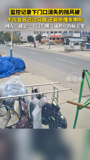 监控记录下门口消失的挡风被 不仅会自己过马路 还能听懂车喇叭