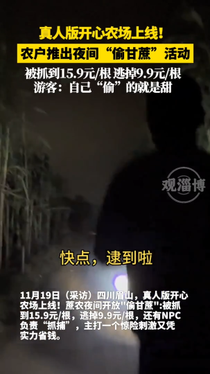 真人版开心农场上线！农户推出夜间&ldquo;偷甘蔗&rdquo;活动