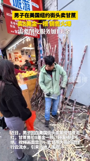 男子在美国纽约街头卖甘蔗，卖8美金一根，销售火爆，需要削皮服务加1美金