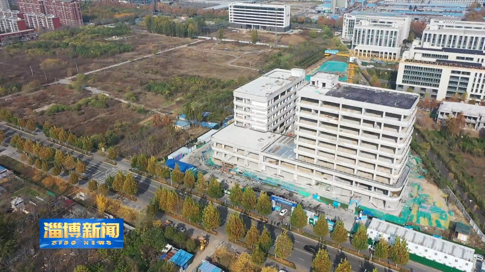 【淄博新闻】【走在前 挑大梁&middot;冲刺四季度】淄博：双线发力 全力推进服务业稳增长