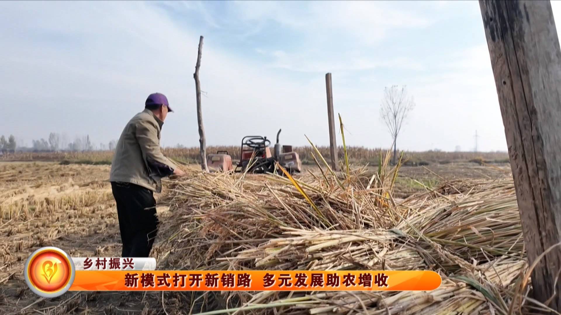 【乡村振兴】新模式打开新销路 多元发展助农增收