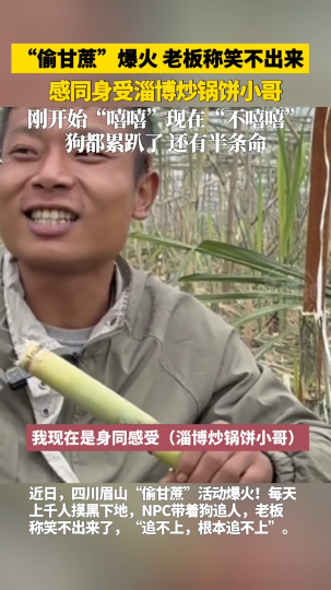 &ldquo;偷甘蔗&rdquo;爆火，老板称笑不出来，感同身受淄博炒锅饼小哥