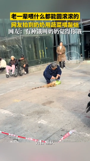 老一辈喂什么都能圆滚滚的，网友拍到奶奶用蔬菜喂鬣蜥