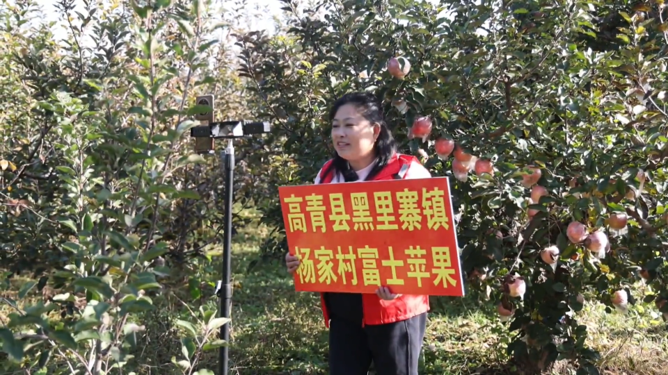 巾帼直播&ldquo;云&rdquo;助力 富硒苹果&ldquo;甜遍&rdquo;全国