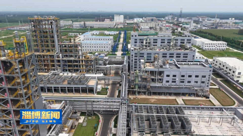 【淄博新闻】【四中全会精神在基层】高青：聚焦产业优势 赋能突破高青新实践