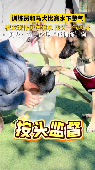 训练员和马犬比赛水下憋气，被发现作假后灌水，按头一气呵成
