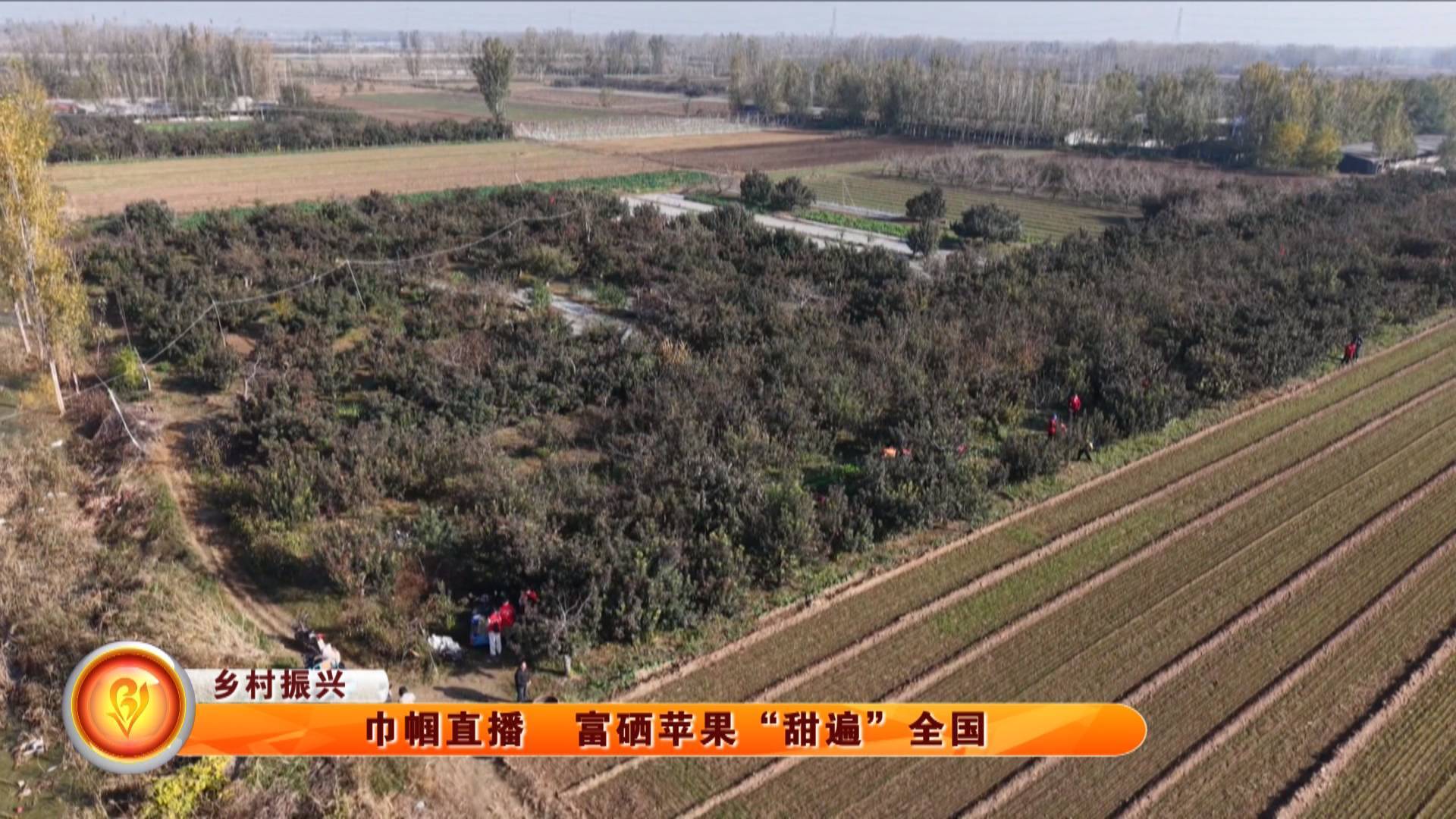 【乡村振兴】巾帼直播  富硒苹果&ldquo;甜遍&rdquo;全国