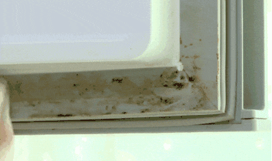 家里最脏的一个地方，却被很多人忽视了（不是厕所）