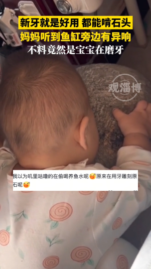 妈妈听到鱼缸旁边有异响，不料竟然是宝宝在磨牙