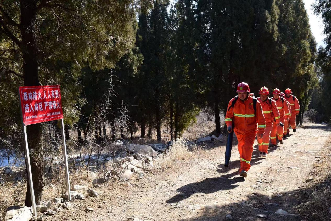 大雪将至暖意浓 淄川林场护林员包饺子话守林