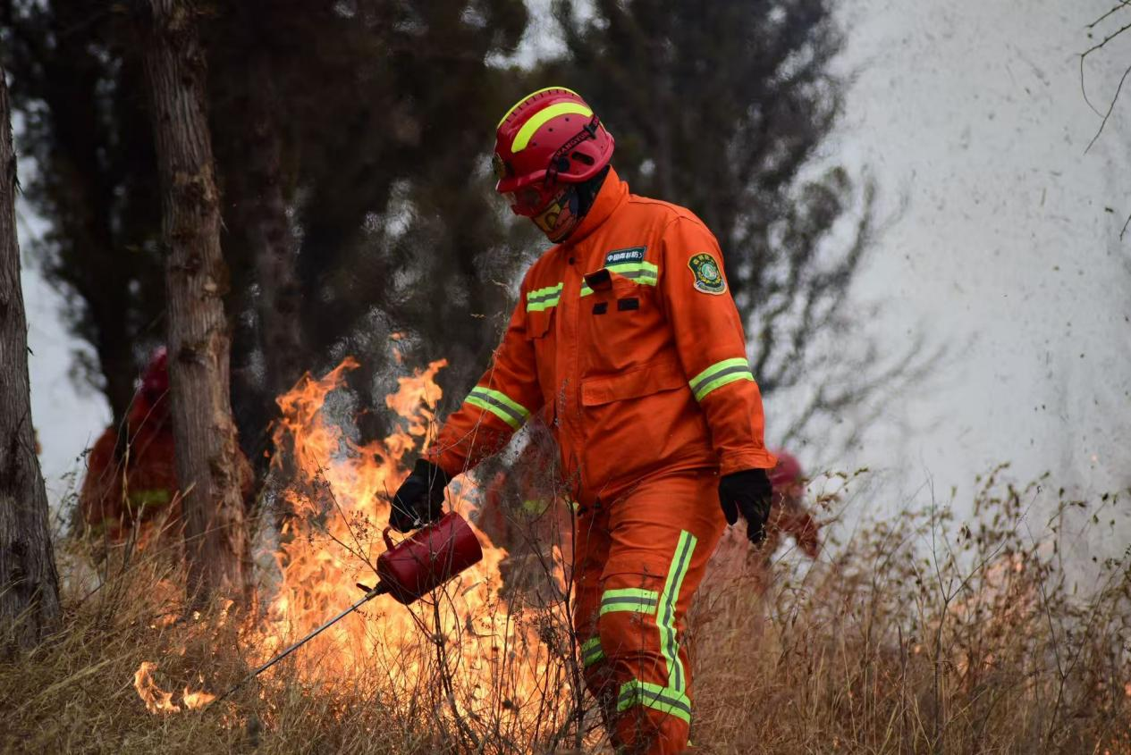 森林防火期为何要打烧防火道？林业专家为你解惑