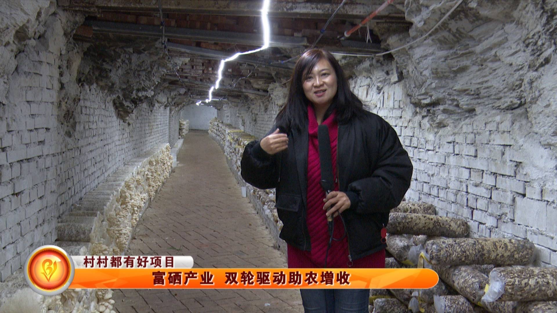 【村村都有好项目】富硒产业 双轮驱动助农增收