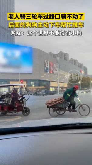 老人骑三轮车过路口骑不动了，后面的狗狗主动下车推车