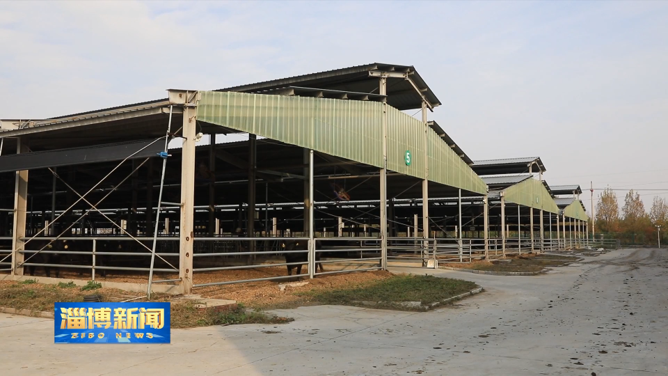 【淄博新闻】【打造乡村振兴齐鲁样板】高青：数字赋能 激活乡村新图景