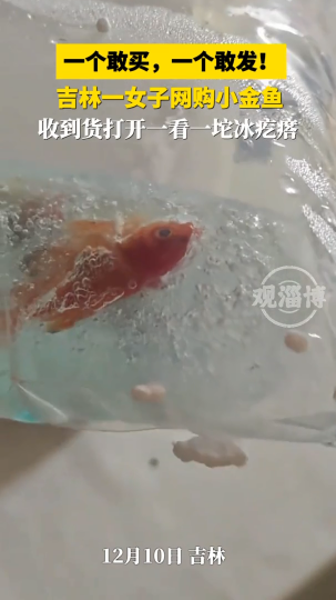 吉林一女子网购小金鱼，收到货打开看到一坨冰疙瘩