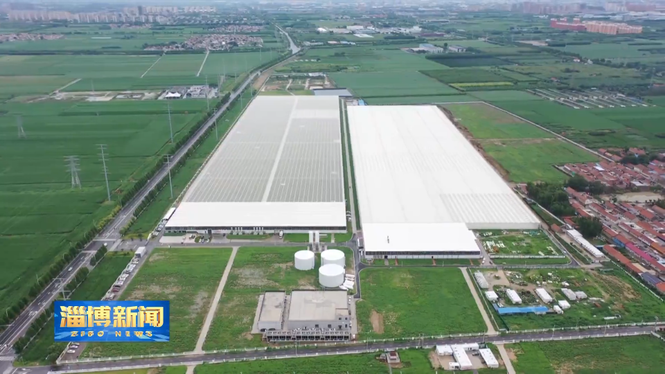 【淄博新闻】2025年度&ldquo;山东省特色优质食品目录&rdquo;培育认定名单发布