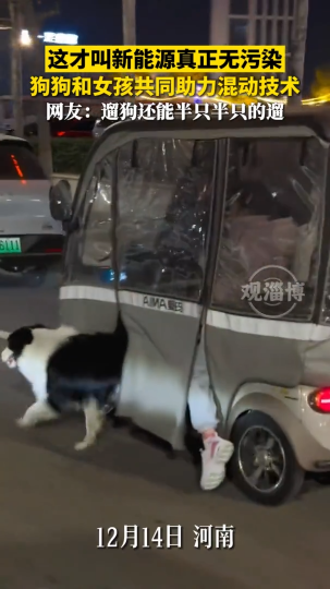 这才叫新能源真正无污染，狗狗和女孩共同助力混动技术