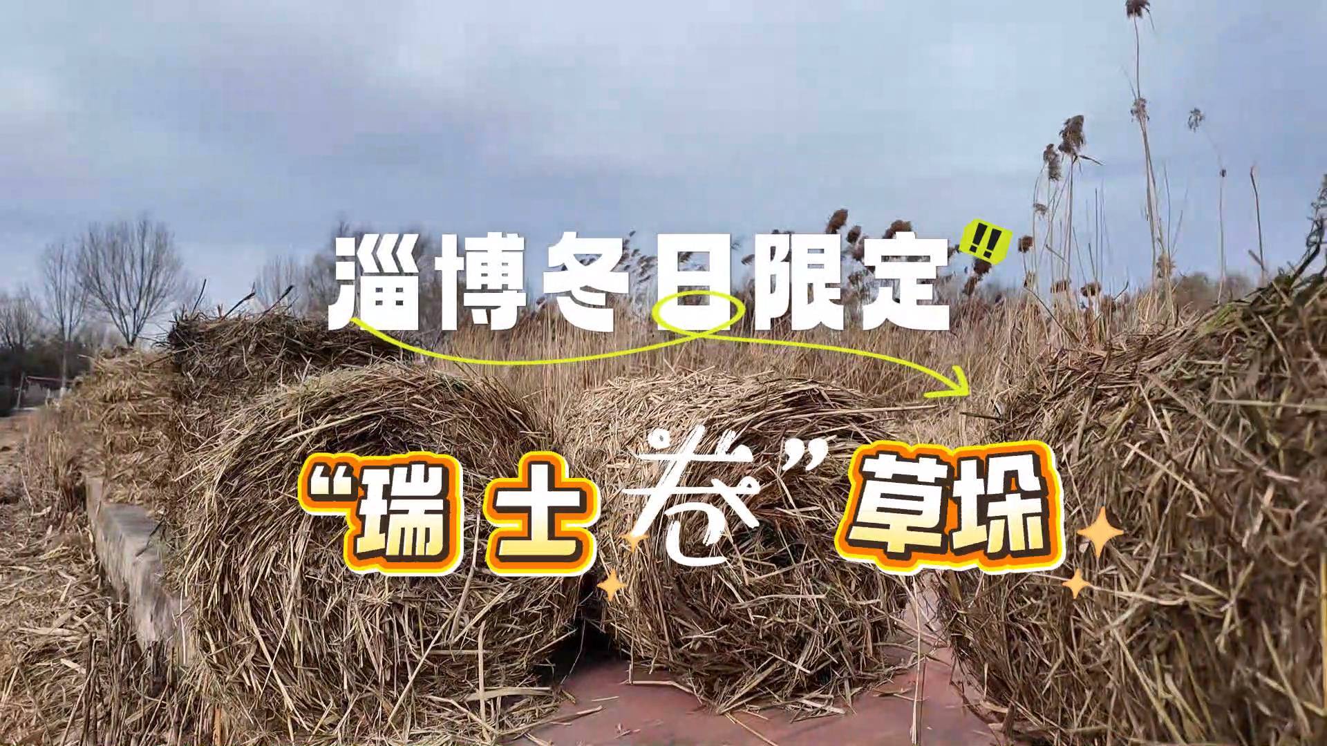 《最淄博》&mdash;&mdash;冬游淄博  记得打卡淄博冬日限定&ldquo;瑞士卷&rdquo;