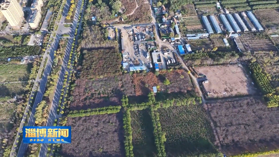 【淄博新闻】淄博发现距今9000年前国内最早小豆遗存