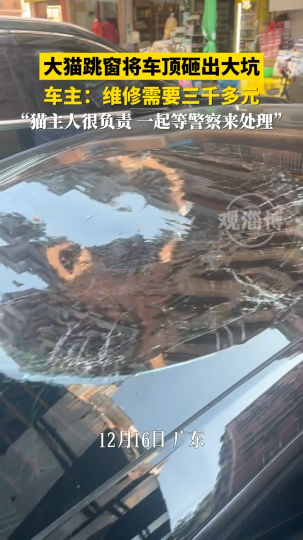 大猫跳窗将车顶砸出大坑，车主：维修需要三千多元
