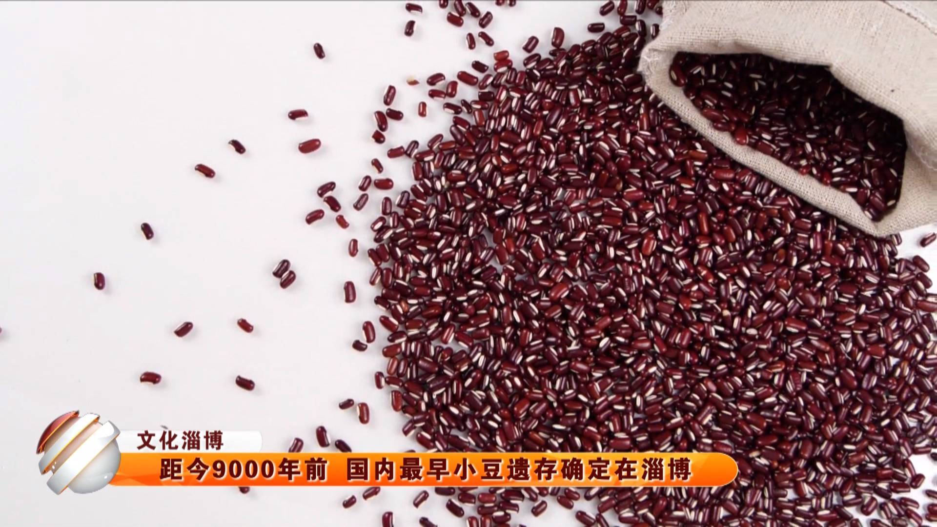 【文化淄博】距今9000年前 国内最早小豆遗存确定在淄博