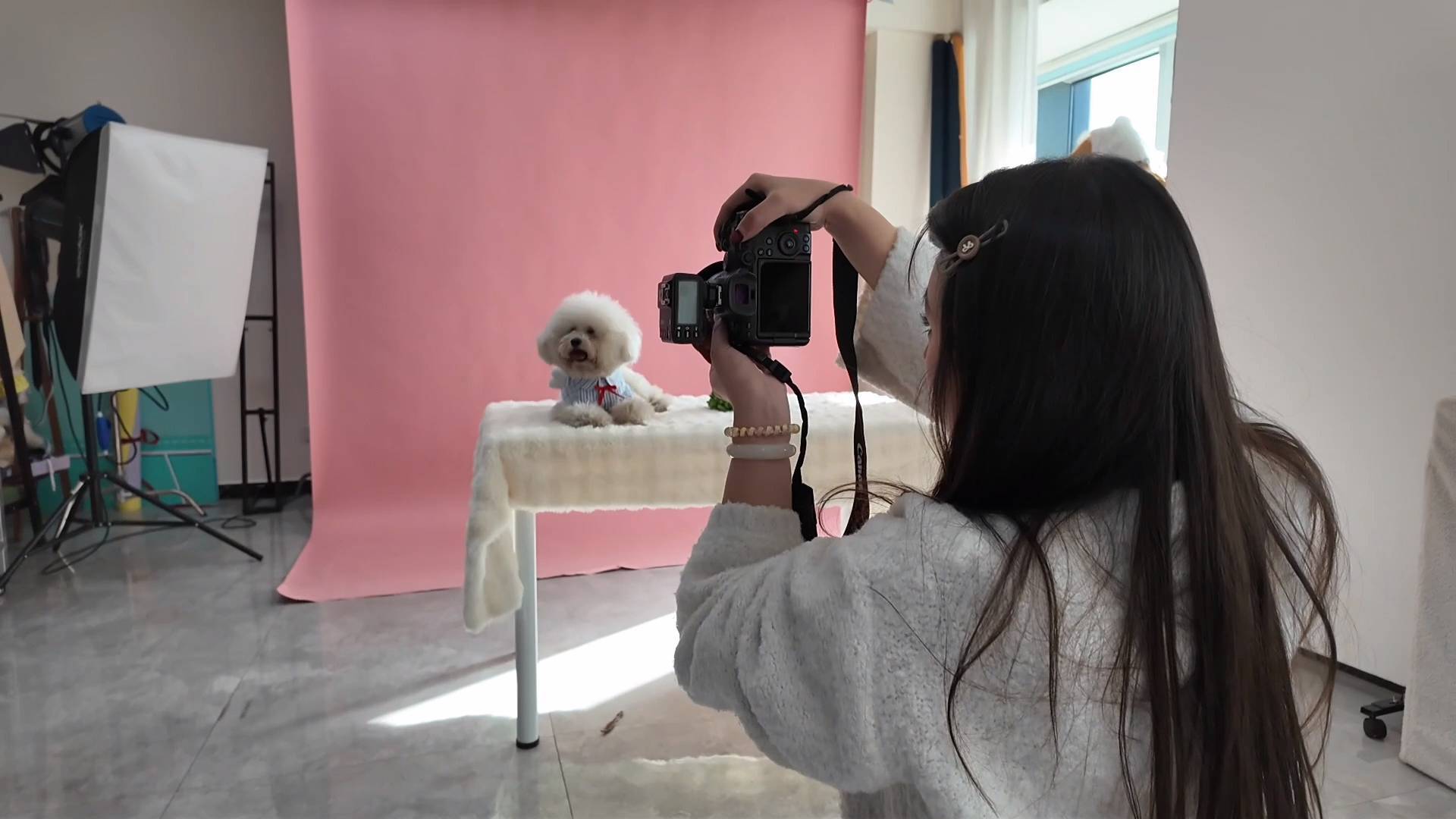 《最淄博》&mdash;&mdash;藏在淄博的&ldquo;宠物家庭记忆守护者&rdquo;