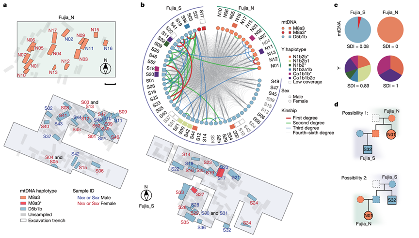 2025年度国内国际十大考古新闻发布，淄博1项入选