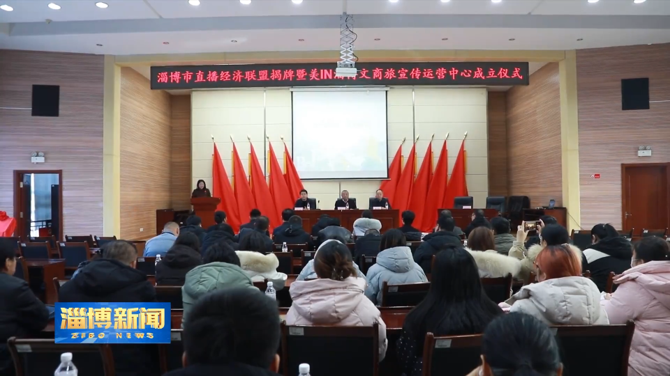 【淄博新闻】政企协同聚合力 文商旅融合启新篇