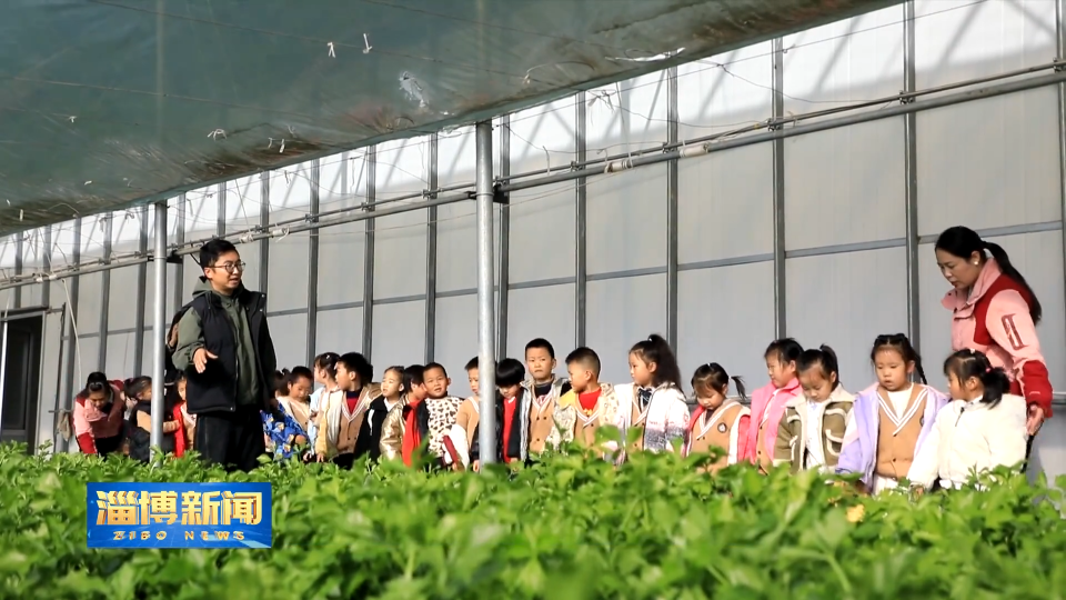 【淄博新闻】【&ldquo;三提三争&rdquo;见成效】淄博：&ldquo;研学+文旅&rdquo;激活农文旅融合新动能