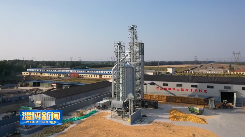 【淄博新闻】【&ldquo;三提三争&rdquo;见成效】淄博：多层次仓储体系让粮食住进"安全屋"