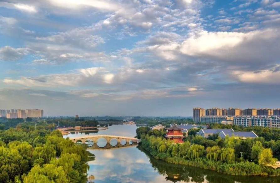 开局&ldquo;十五五&rdquo; 奋斗正当时&middot;一线报道丨港口&ldquo;流量&rdquo;变产业增量,&ldquo;过路木头&rdquo;实现产业扎根