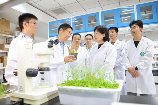 2025回顾&middot;新科技新产品记|从实验室到生产线,这些&ldquo;山东解法&rdquo;照进现实