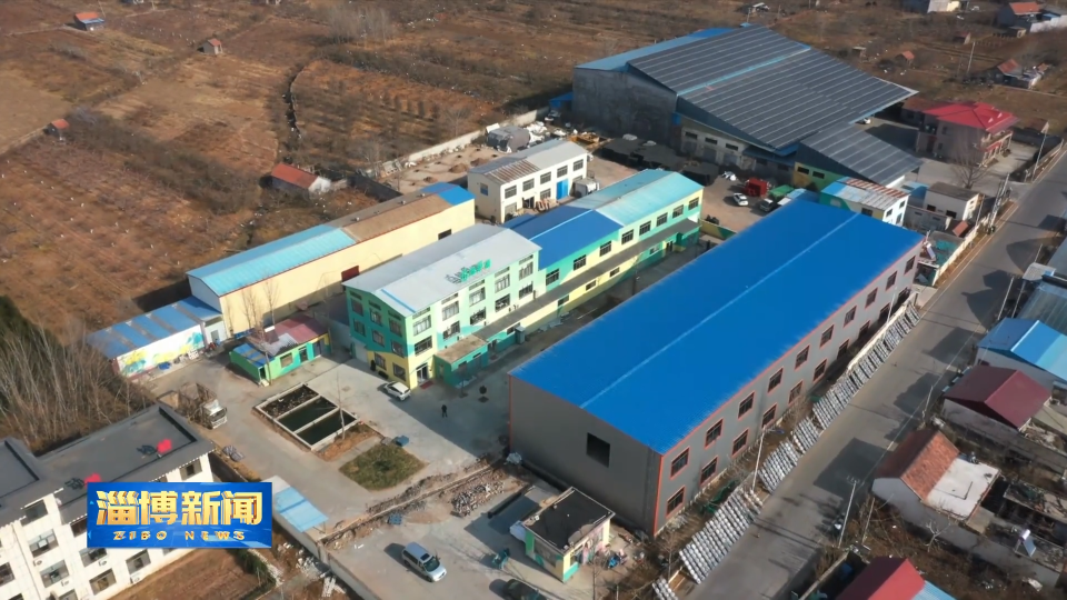 【淄博新闻】【&ldquo;三提三争&rdquo;见成效】淄博：小特产深加工 拓宽特色产业致富路