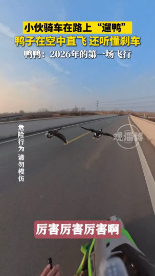 小伙骑车在路上&ldquo;遛鸭&rdquo;，鸭子在空中直飞还听懂刹车