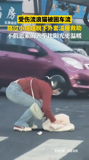 受伤流浪猫被困车流，路过小姐姐脱下外套温暖救助