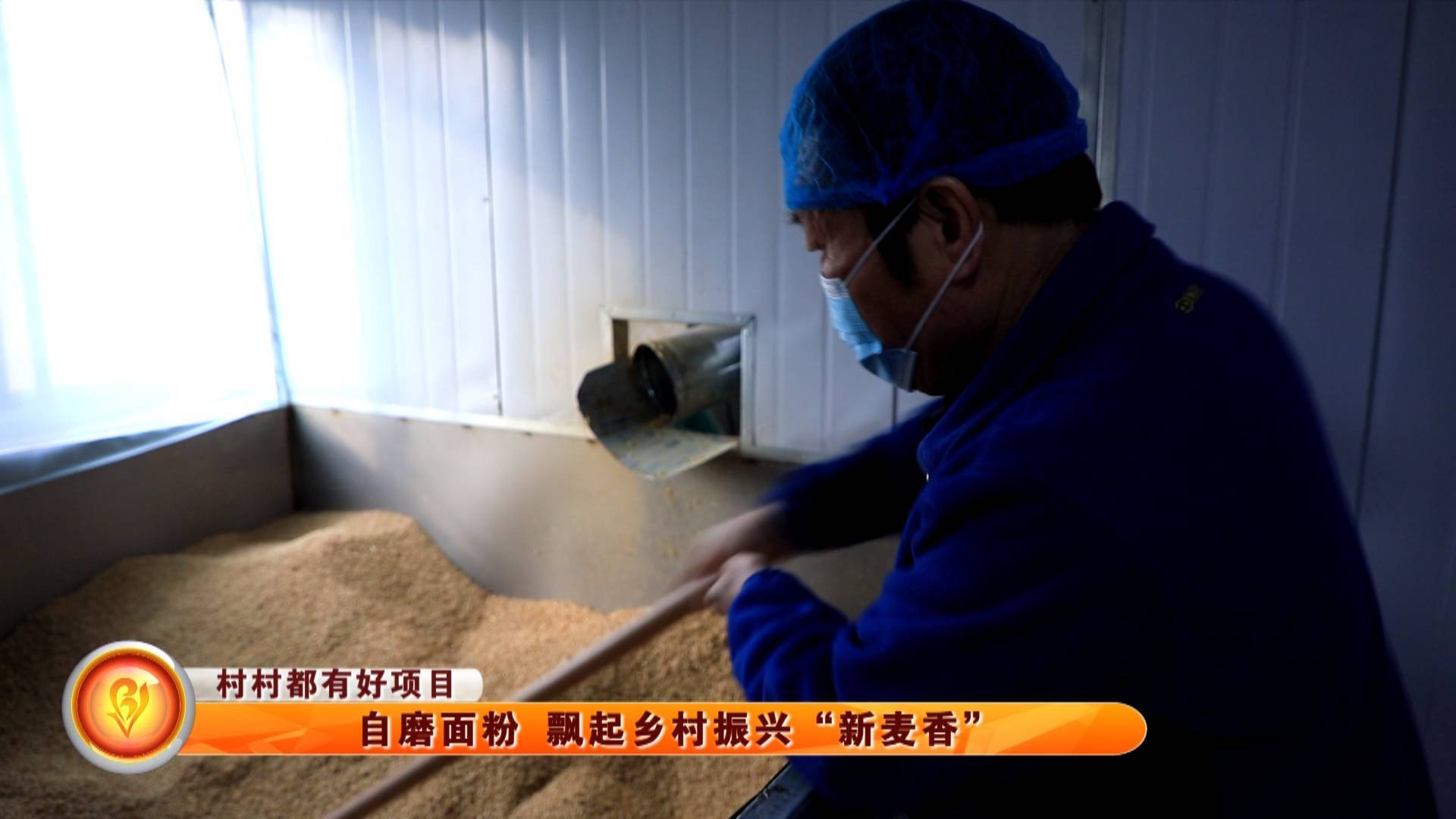 【村村都有好项目】自磨面粉 飘起乡村振兴&ldquo;新麦香&rdquo;