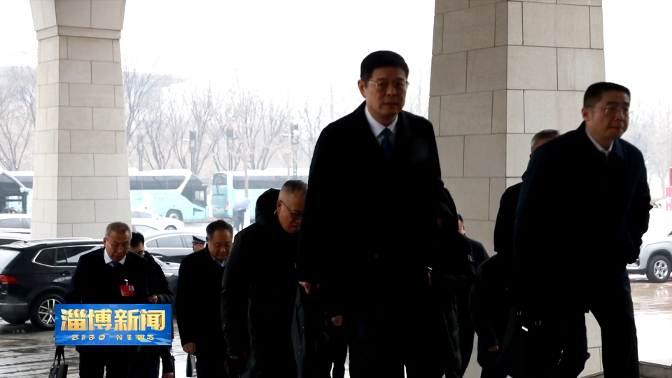 【淄博新闻】人大代表向大会报到：心系民生传民意 肩负重托献良策