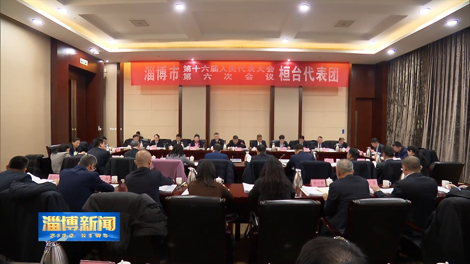 【淄博新闻】孙庆雷参加市十六届人大六次会议桓台代表团审议