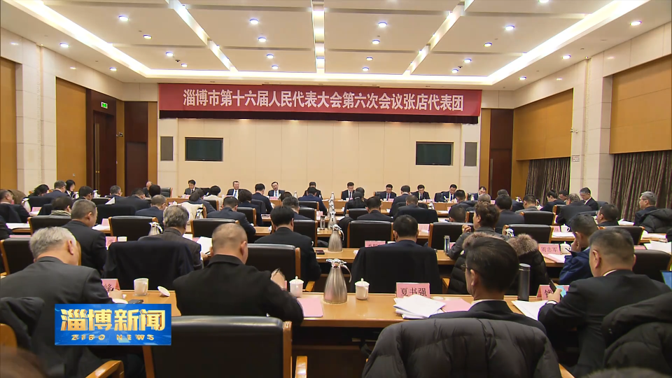 【淄博新闻】张延廷参加市十六届人大六次会议张店代表团审议