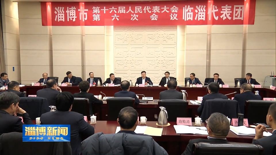 【淄博新闻】赵庆文参加市十六届人大六次会议临淄代表团审议
