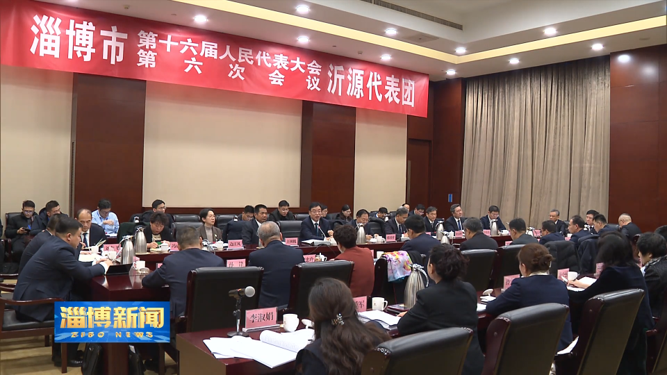 【淄博新闻】杨旭东参加市十六届人大六次会议沂源代表团审议